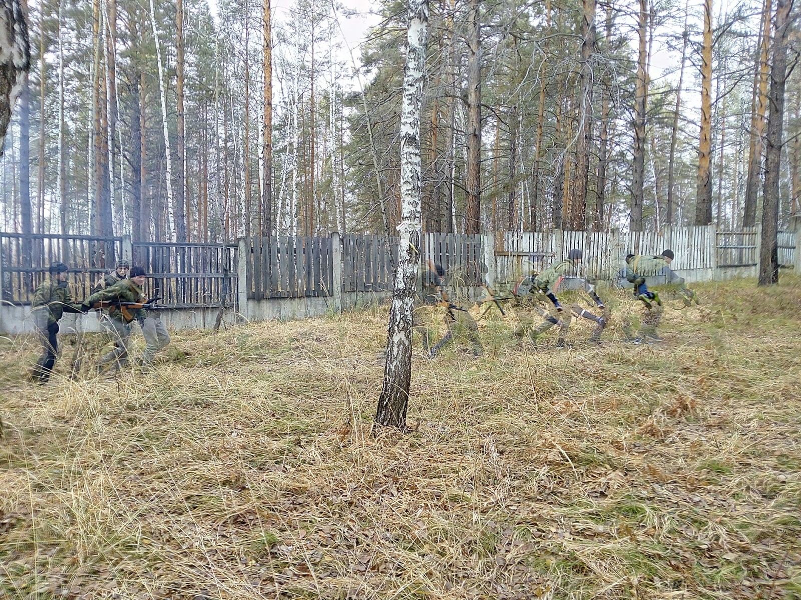 They run fast or the camera slows down - My, It seemed, Visual effects, Forest, Longpost, The photo