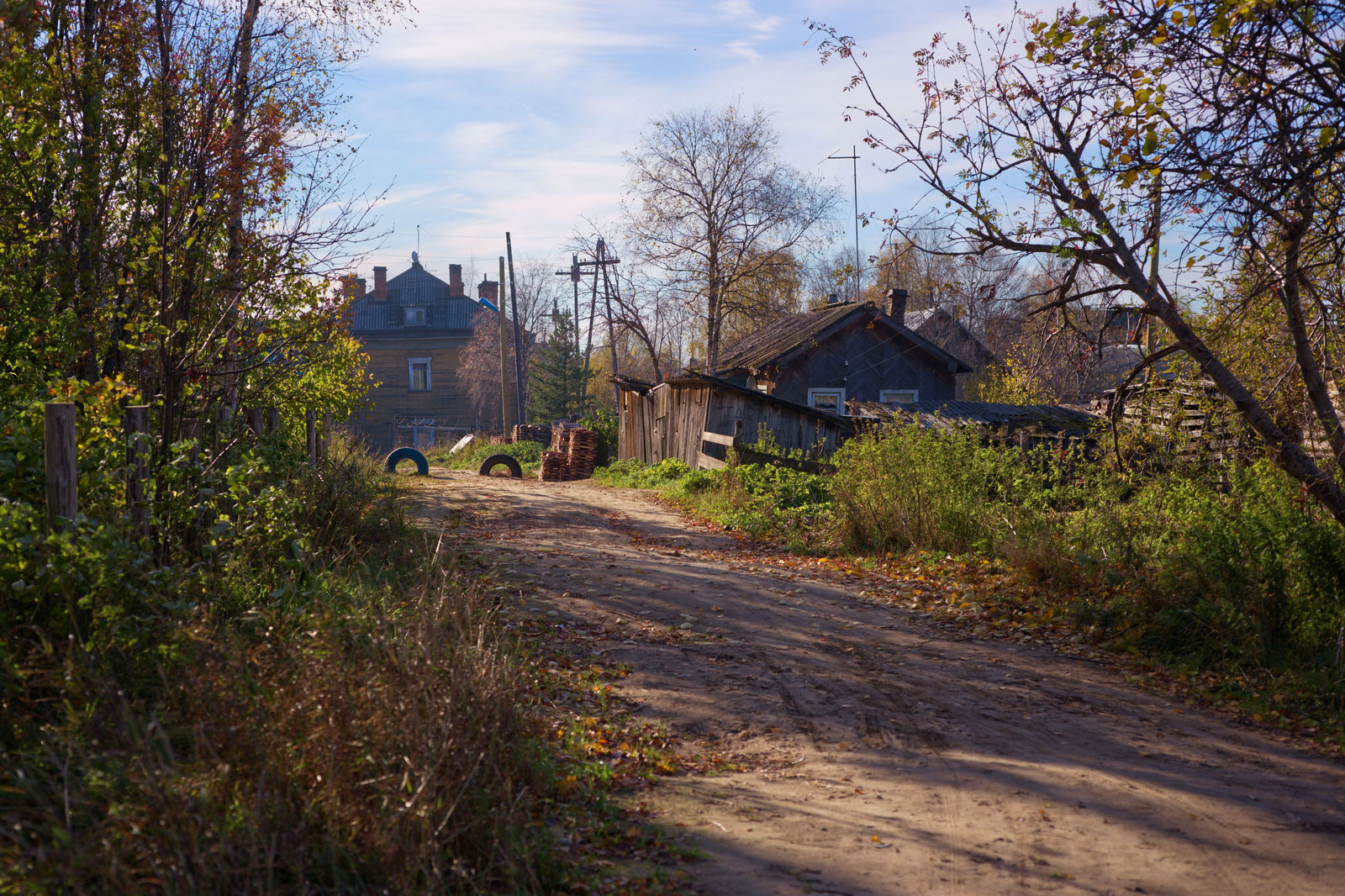 Mezen, walk in the center 1/2 - My, Russian North, Mezen, Arkhangelsk region, The photo, Autumn, Leaves, A life, Longpost