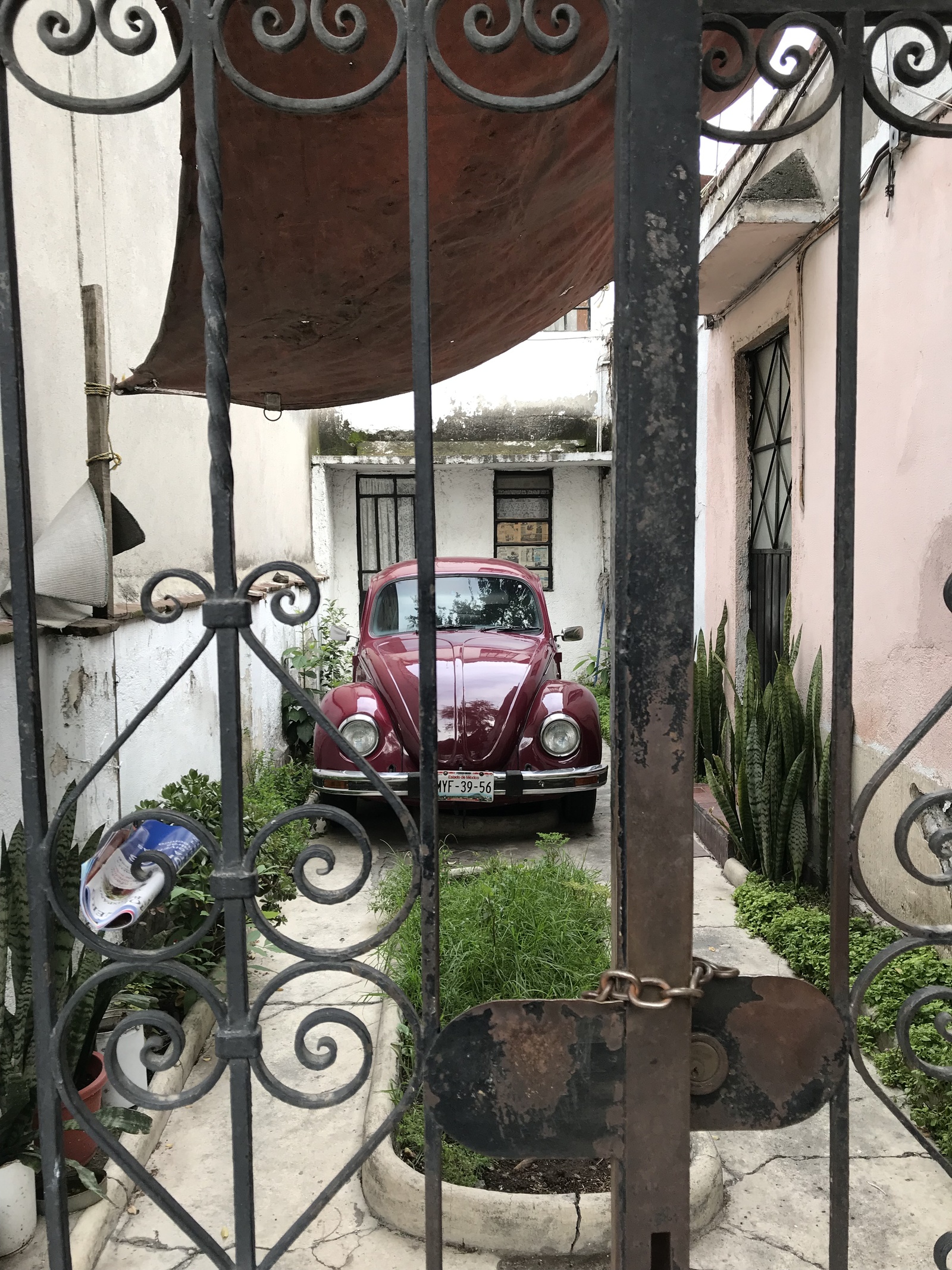 mexican beetles - My, Volkswagen beetle, Mexico, Retro car, Longpost