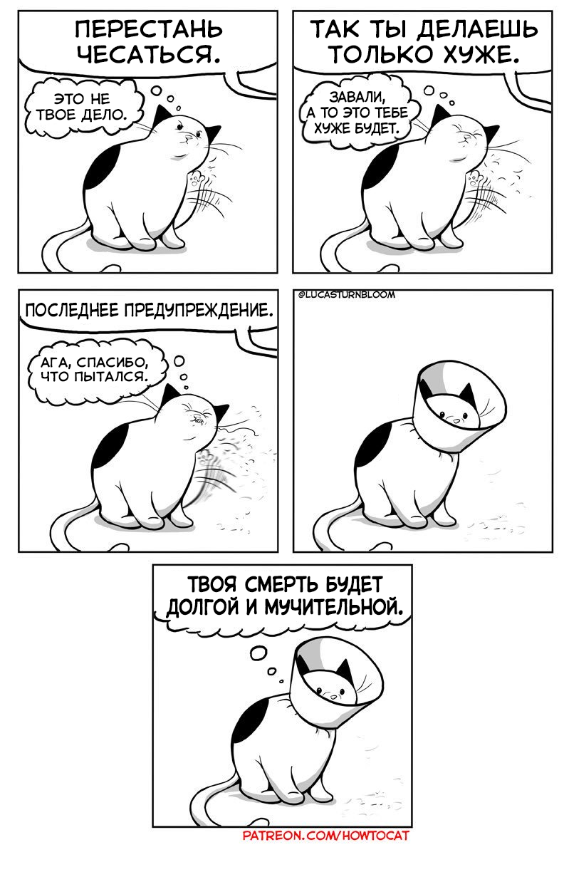 Scabies - Comics, cat, Lucas Turnbloom, Scabies