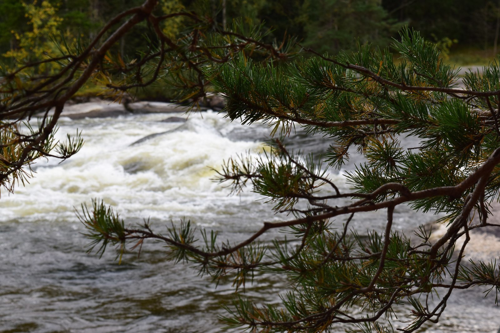 Kotka. - My, Finland, Kotka, Longpost, Beginning photographer