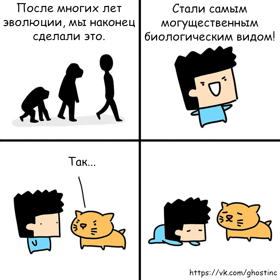 Evolution - Comics, Translated by myself, Thesquarecomics, Person, cat, Evolution