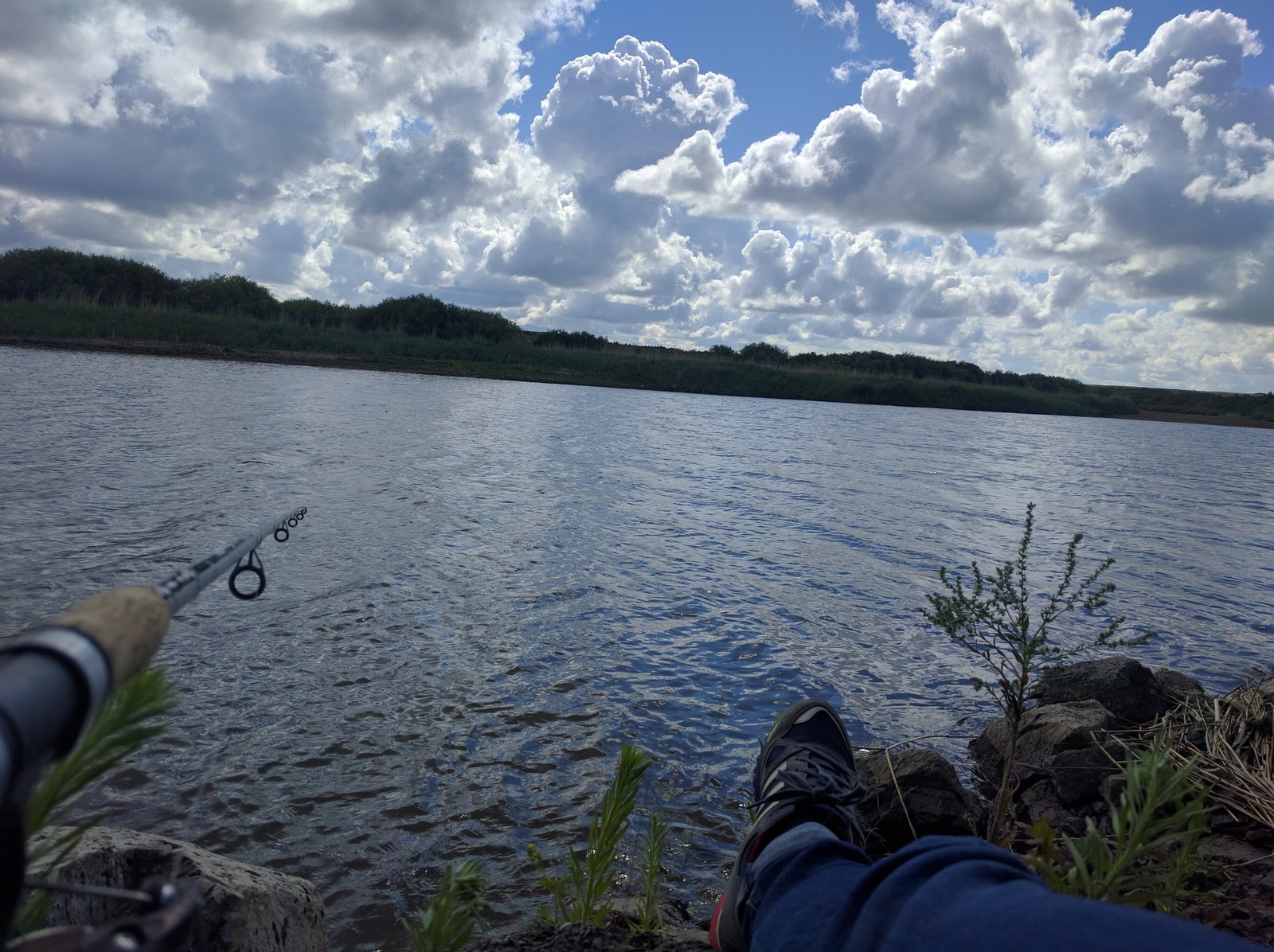 Nature on the Seleta River, RK - My, Kazakhstan, River, Nature