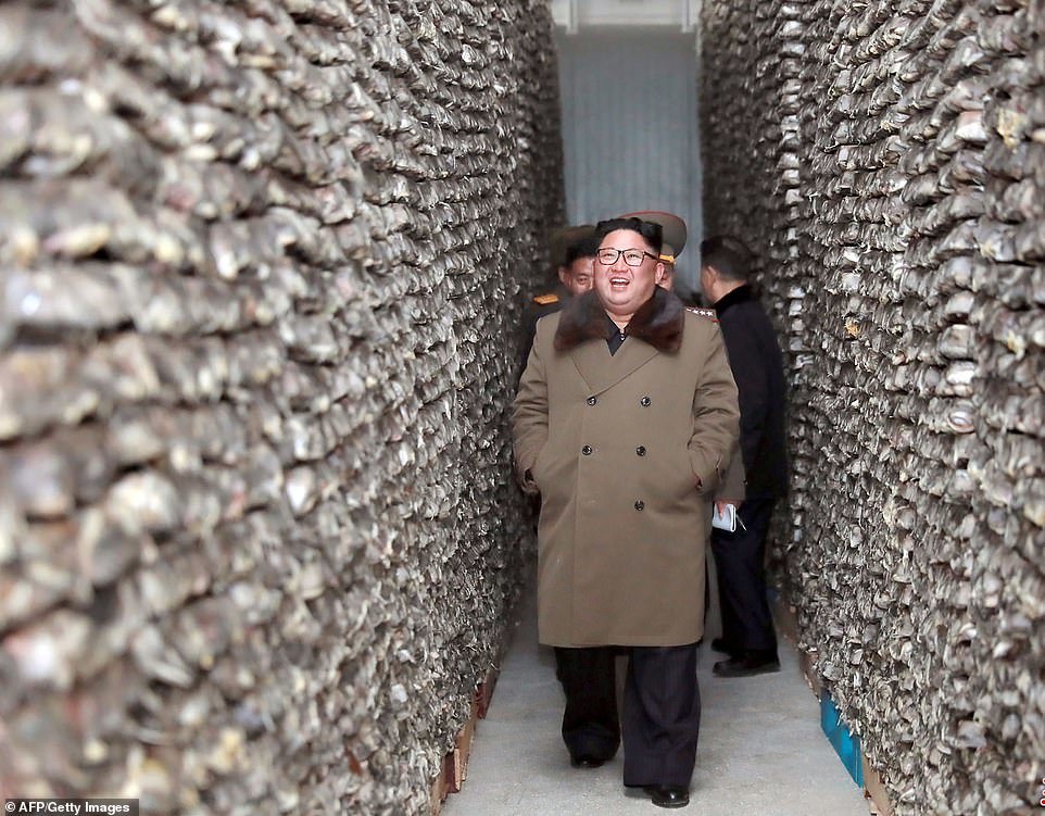 Kim Jong Un in the corridors of frozen fish - North Korea, Kim Chen In, A fish, Warehouse, Inspection, Longpost