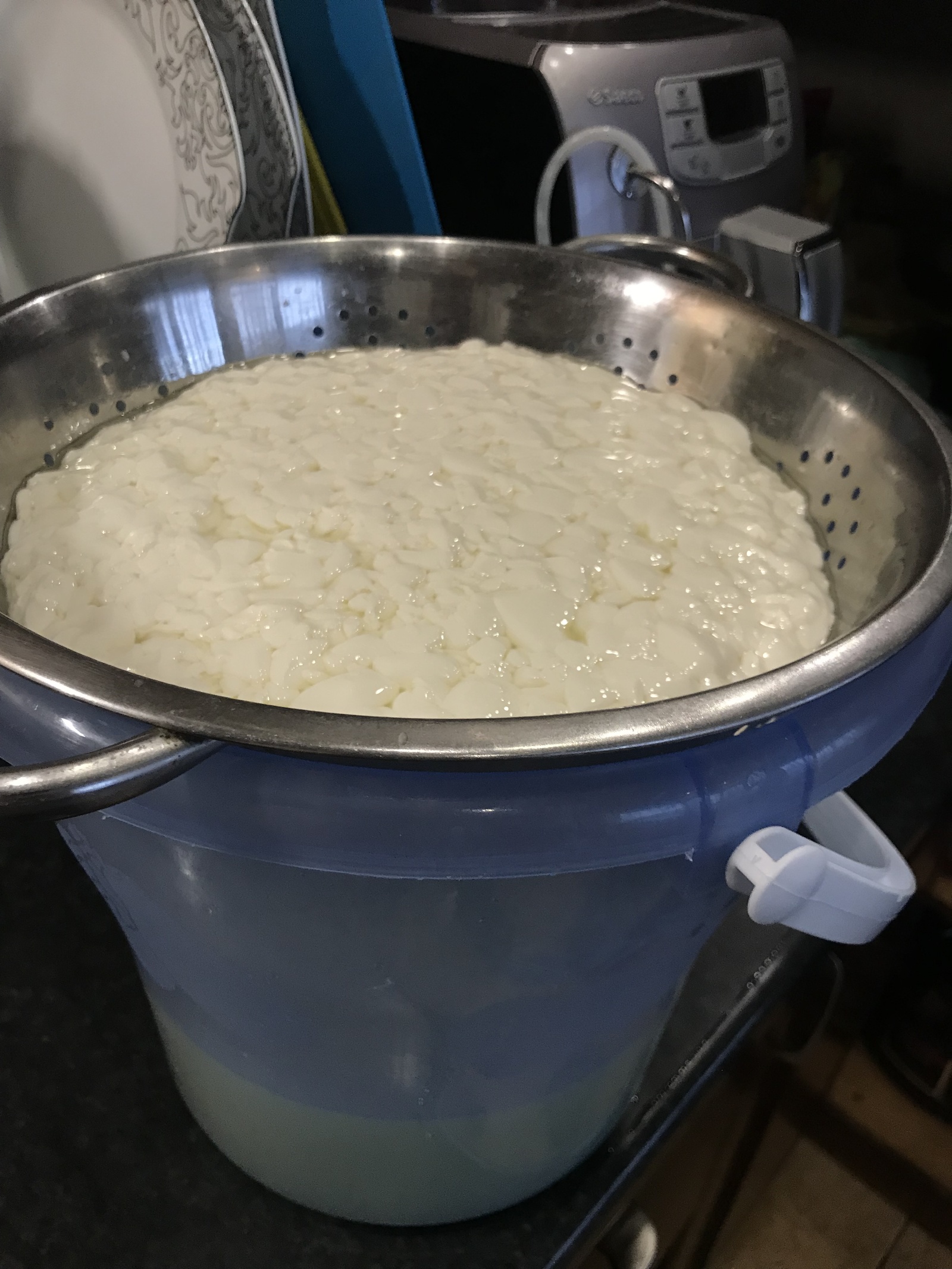 Cheese stories continue. Mozzarella. - My, Cheese, Recipe, Video, Food, Mozzarella, Craft cheese, Cheese making, GIF, Longpost