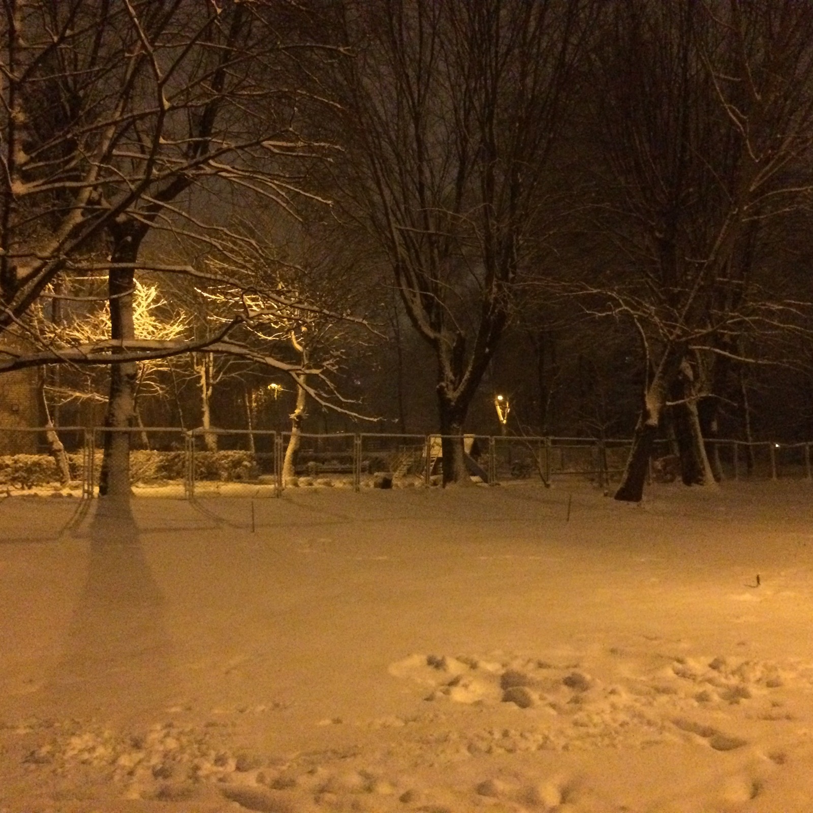 Night city - My, Odessa, Winter, Snow, Longpost