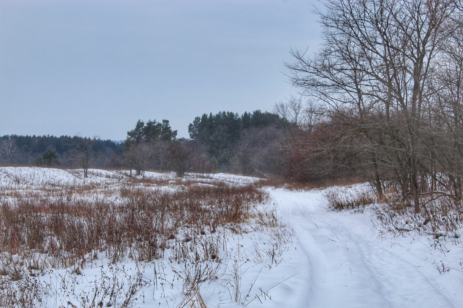 Photo walk - My, Dzerzhinsk, The photo, Canon 1300d, 18-55 kit, Nature, Longpost