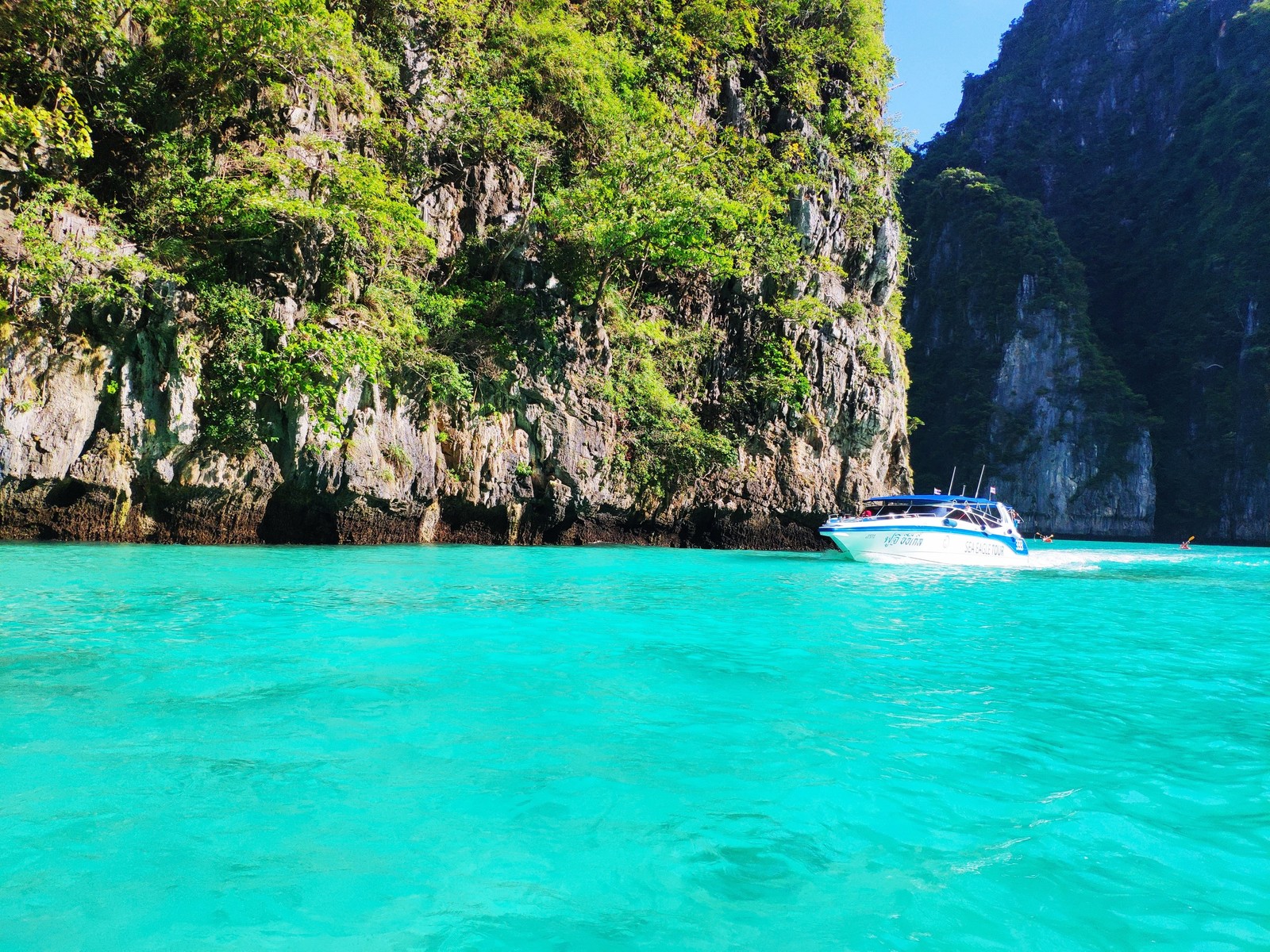 Phi Phi Islands, Thailand - My, Koh Phi Phi, Travelers, Travels, Underwater world, Video, Longpost