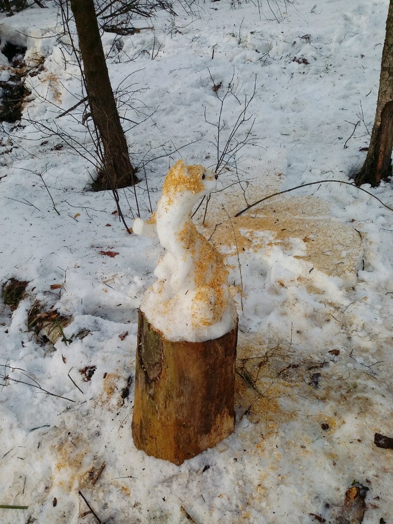 Snow sable - My, Weasel, Ermine, Winter, Snow, snowman, Stump, Forest, Sable, Longpost