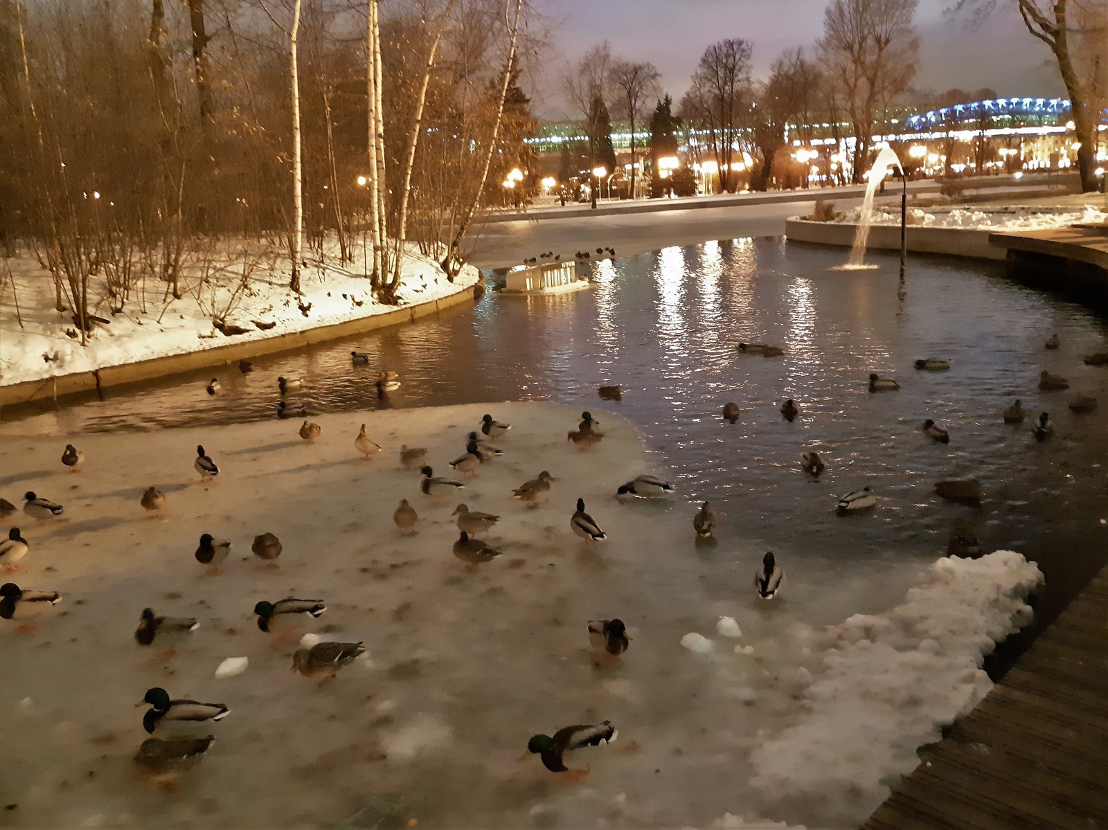 Вечерняя ленивая прогулка от метро Парк Культуры до метро Воробьевы горы - Моё, Прогулка, Парк культуры, Нескучный сад, Воробьевы горы, Длиннопост, Картинки, Вечер