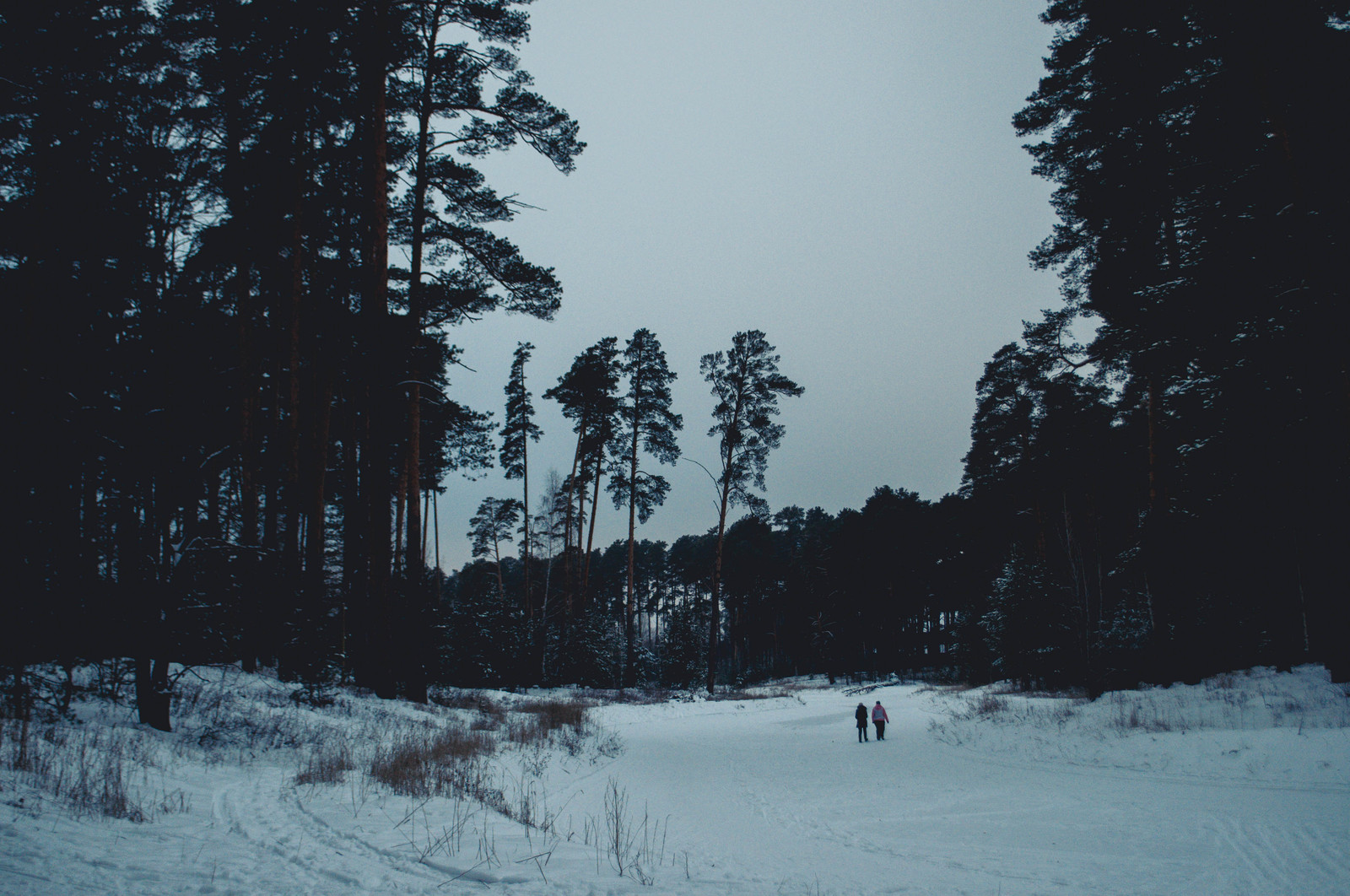 Photo walk. - My, The photo, Landscape, Winter, Nature, Hike, Russia, Kazan, Lebyazhye, Longpost