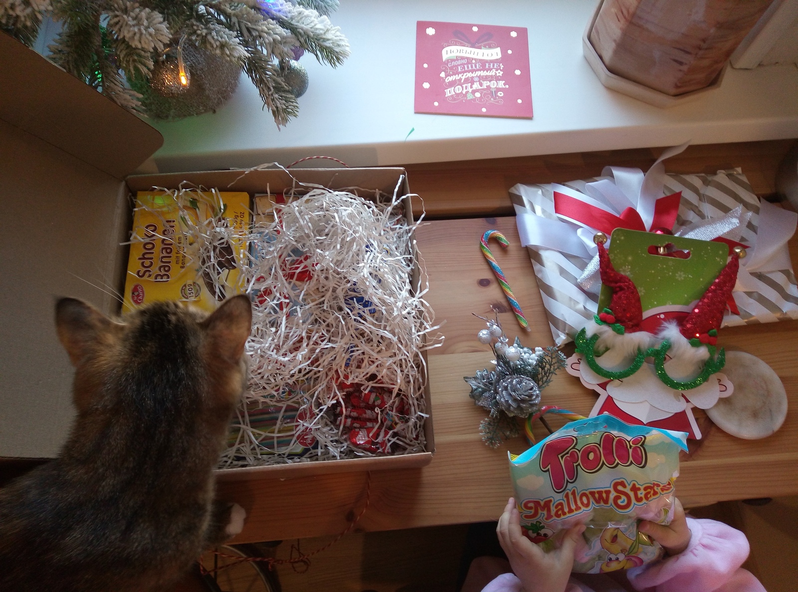 ADM Kaliningrad - Vladivostok - My, Gift exchange report, Secret Santa, New Year, Longpost, cat, Gift exchange