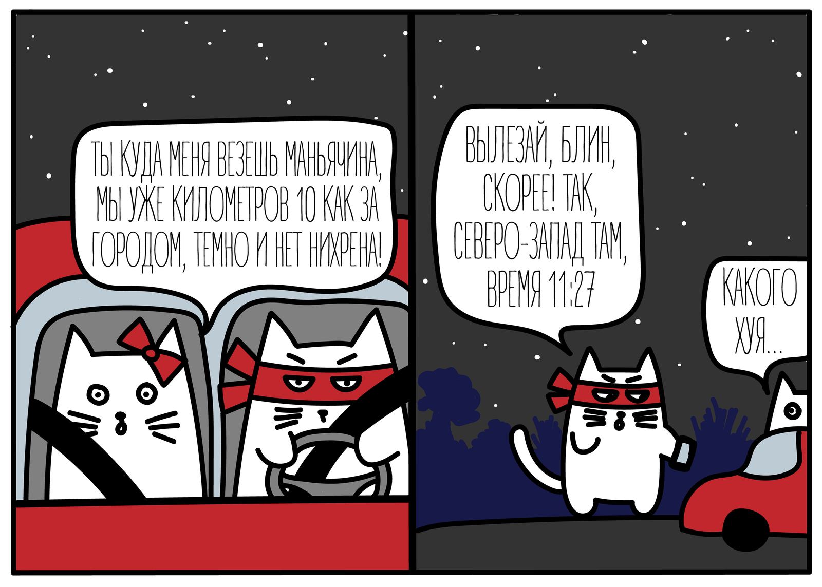 ISS - cat, Longpost, Illustrations, Space, Comics, My