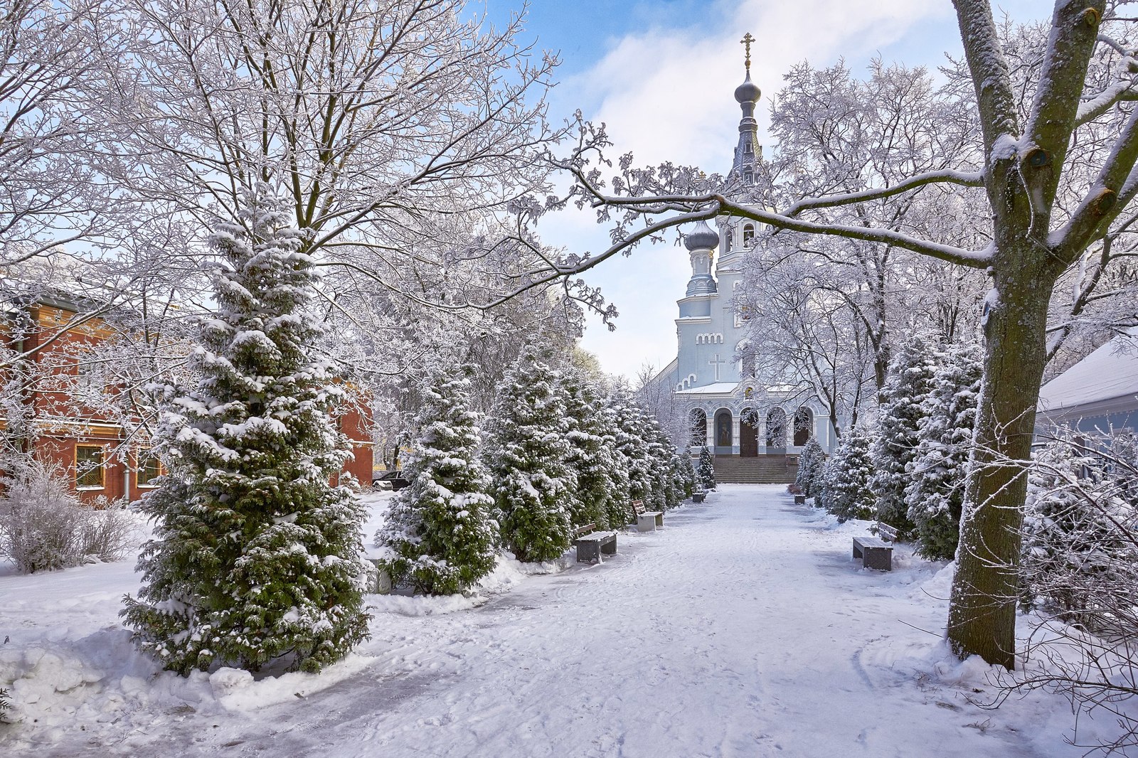 Author: Alexander Shein, winner of the photo contest Kronstadt - the city of maritime glory - Kronstadt, Winter