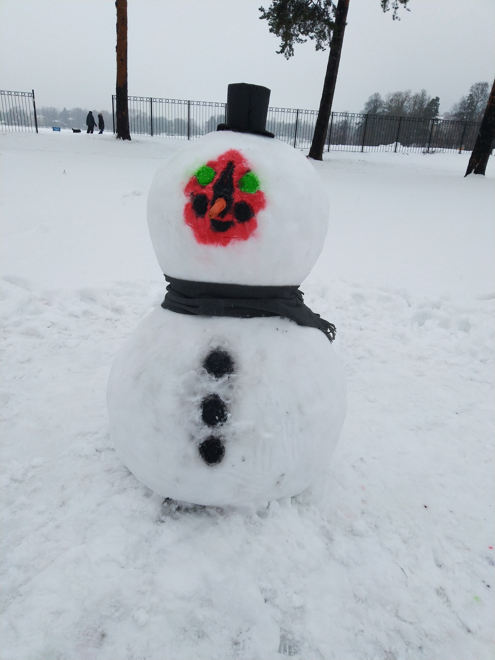 New Year's Cookies: - My, SCP, Cosplay, snowman, , The photo, Saint Petersburg, Longpost