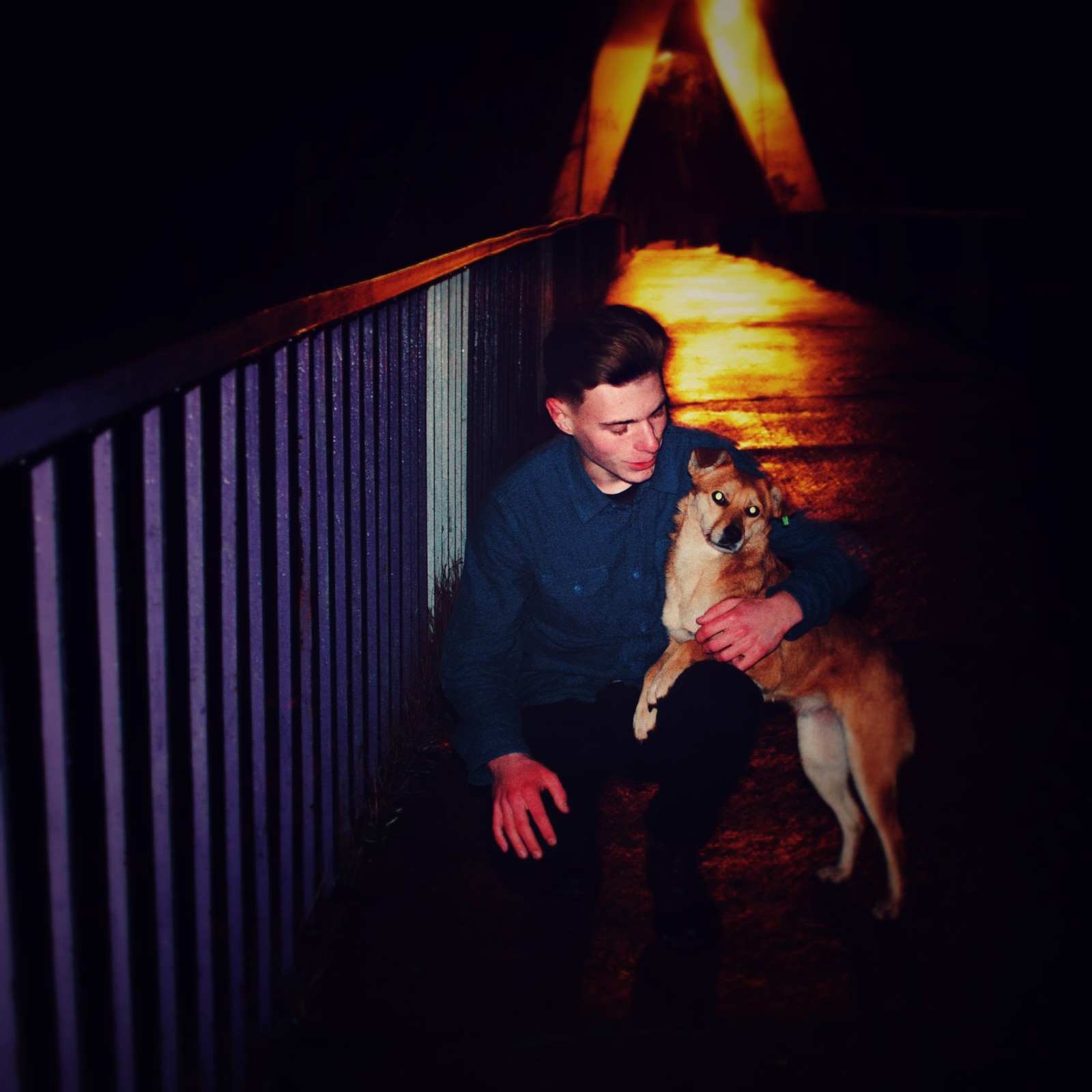 An evening walk - Dog, Bridge, Evening, Winter, Korosten