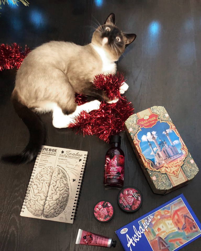 ADM Kazan - Khabarovsk - My, Gift exchange, New Year's gift exchange, New Year, Father Frost, Gift exchange report, cat, GIF, Longpost, Secret Santa