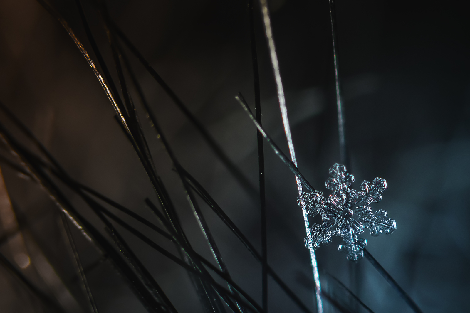 Snowflakes. - My, Snowflake, Macro, Nikon d5300, Nikkor 50mm, Macro photography