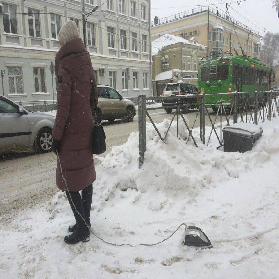 У каждого свой домашний любимец - Утюг, Прогулка, Выгул, Питомец, Домашние животные