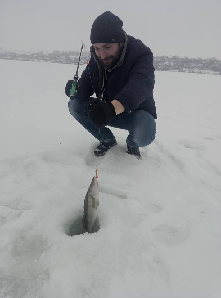 I was recently asked how to cook pike perch tasty - My, A fish, Recipe, Cooking, Longpost, Fish perch