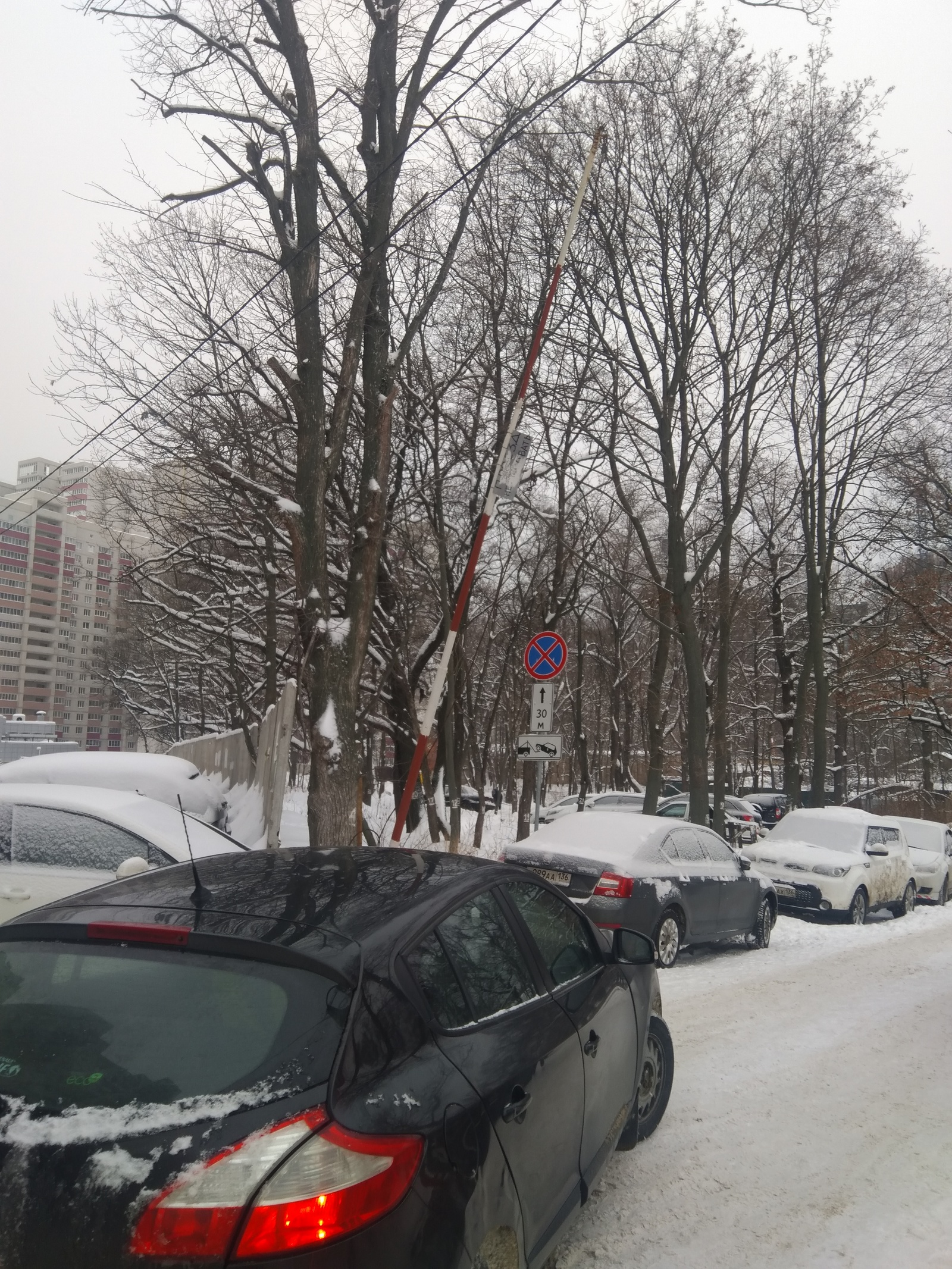 Spontaneous parking in the protected natural area of ??the park - My, Неправильная парковка, Freaks, Longpost