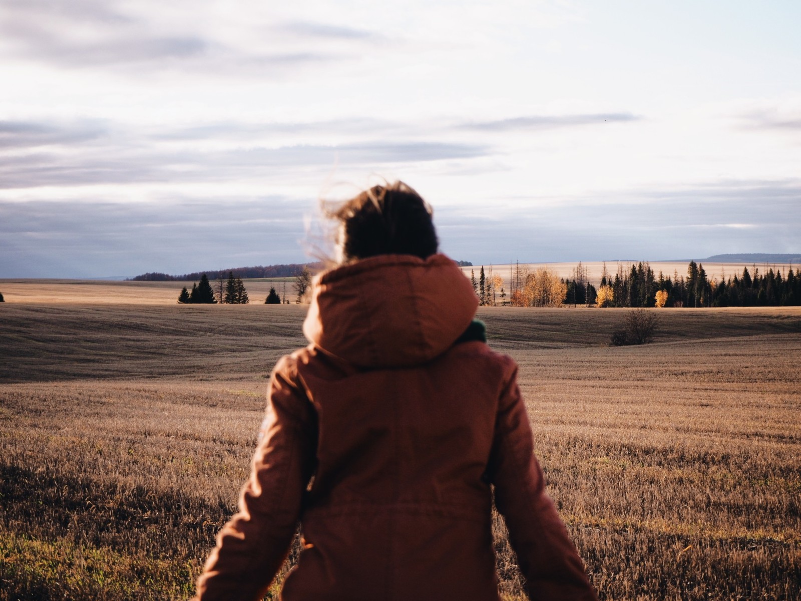 Autumn :) - My, The photo, Field, Landscape, Town, Beginning photographer, Nature, Longpost