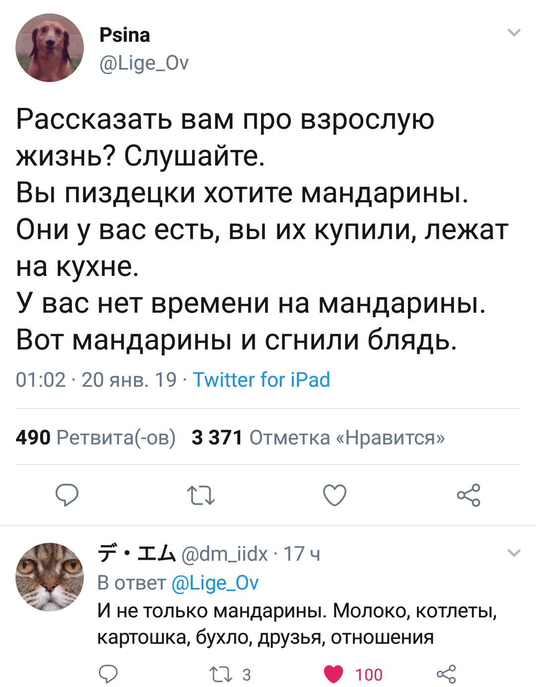 Реалии взрослой жизни - Мат, Twitter, Скриншот, Взросление