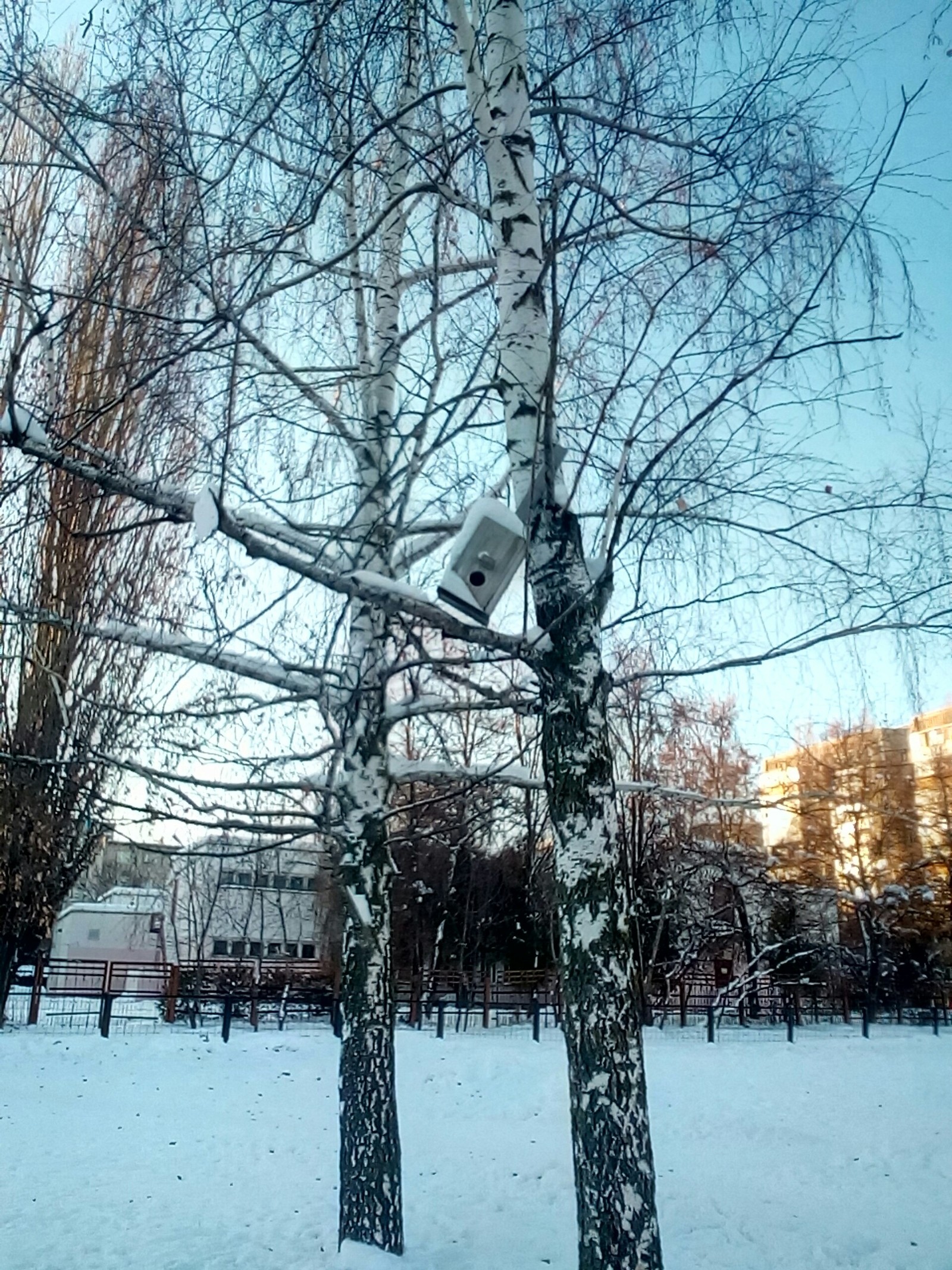 Романтика спальных районов - Моё, Город, Фотография, Длиннопост, Помойка