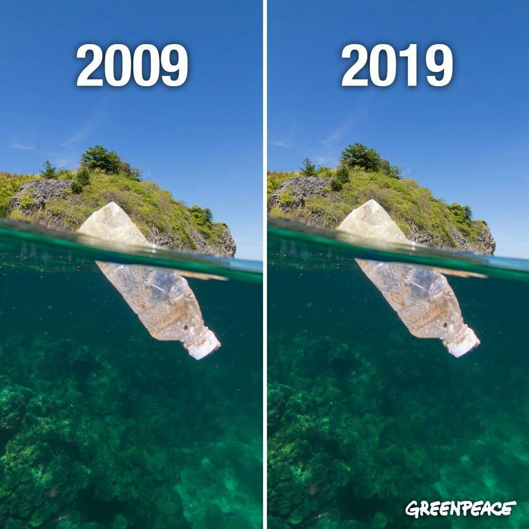 10 years from Greenpeace - The photo, Challenge, Nature, Sadness, Truth, Interesting, Informative, Longpost