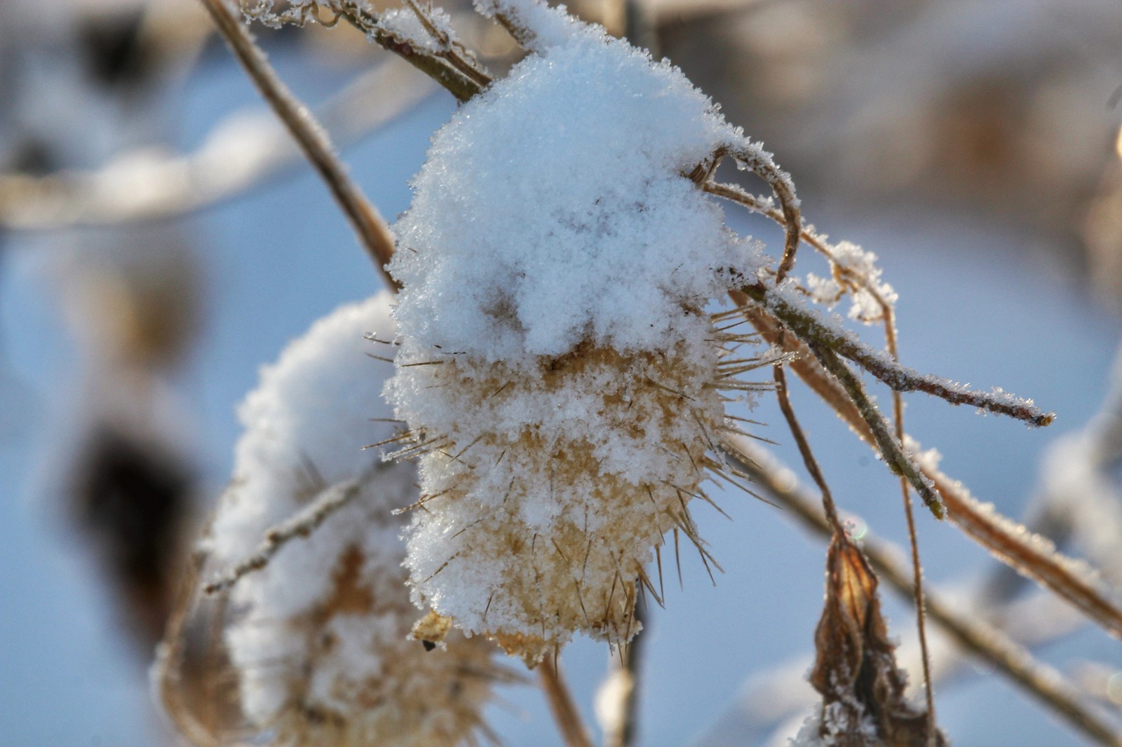 Winter sketch - My, Dzerzhinsk, The photo, Youtube, Canon 1300d, Canon, Huawei mate 9, Longpost, Video