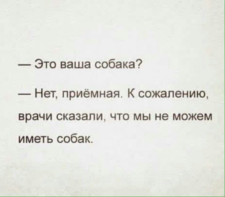 Минибультерьер бегает как заяц - Моё, Минибультерьер, Минибуль, Собака, Бегает, Видео