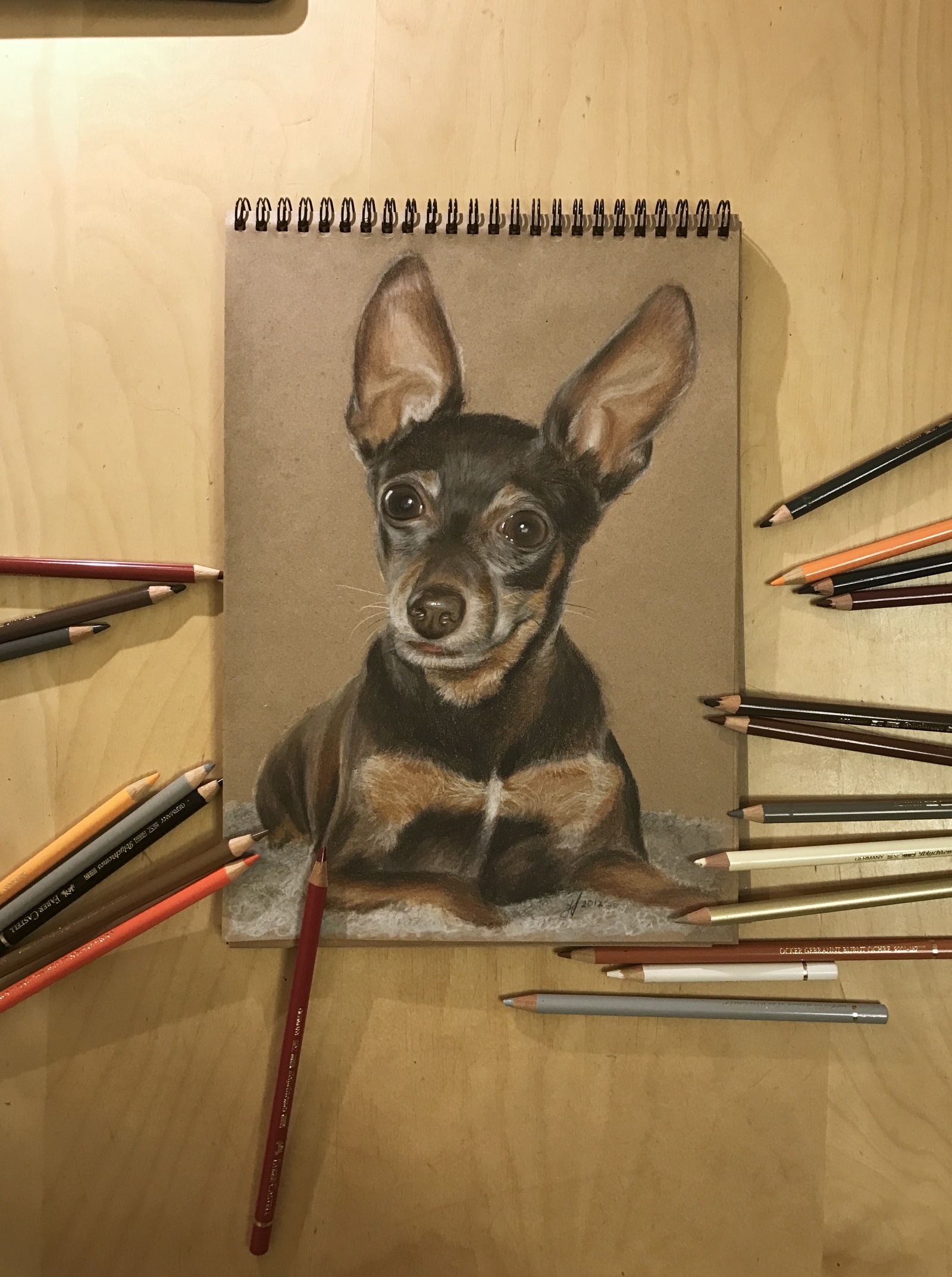 Dog with pencils - My, Drawing, Dog, Animals, Animalistics, Colour pencils, Photorealism