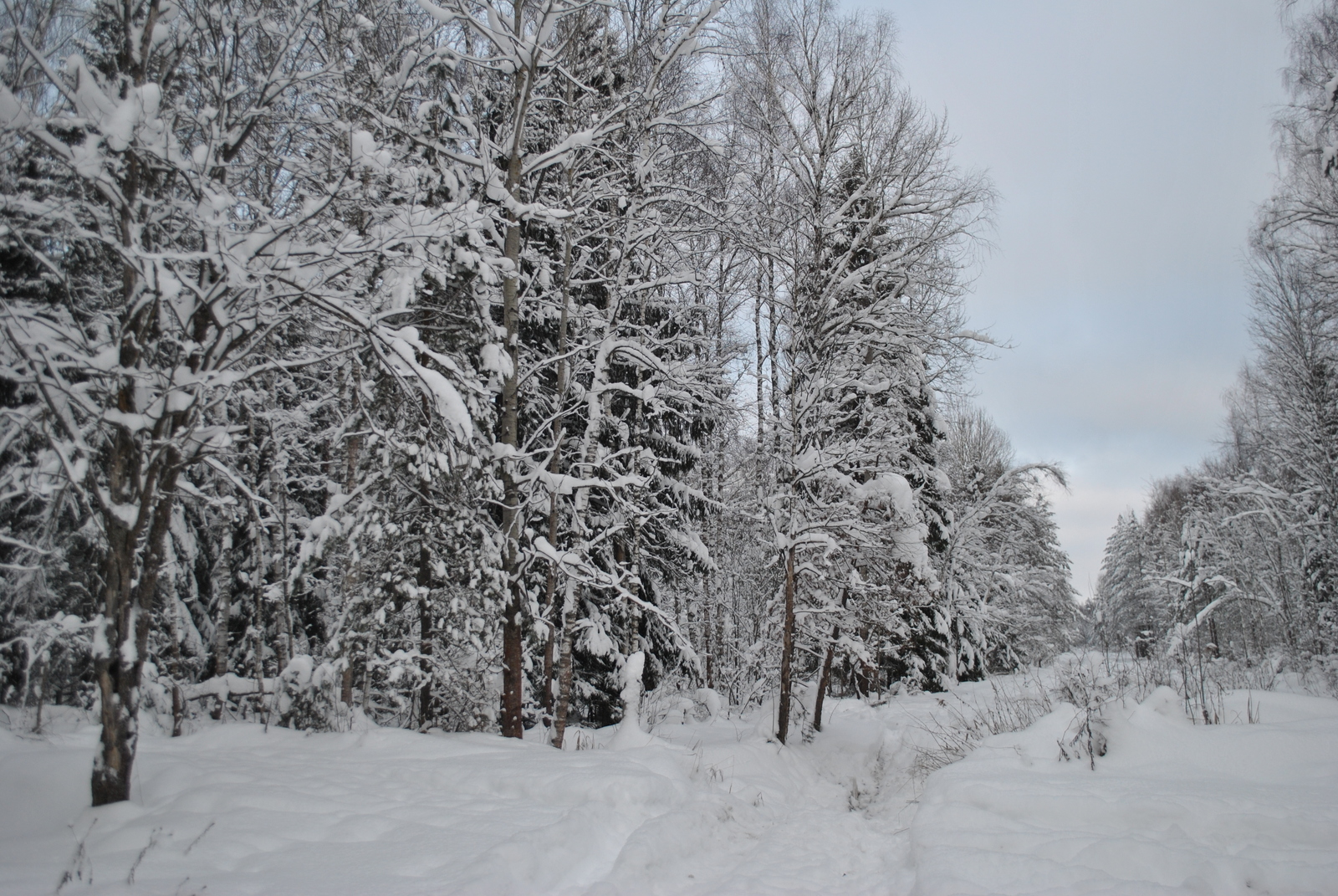 Winter beauty - My, Hike, Winter, Longpost