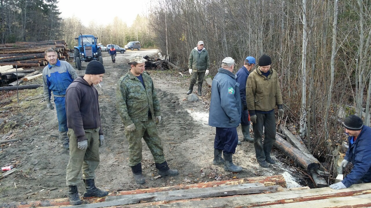 Жители поселка сами себе построили мост - Карелия, Суоёки, Мост, Длиннопост