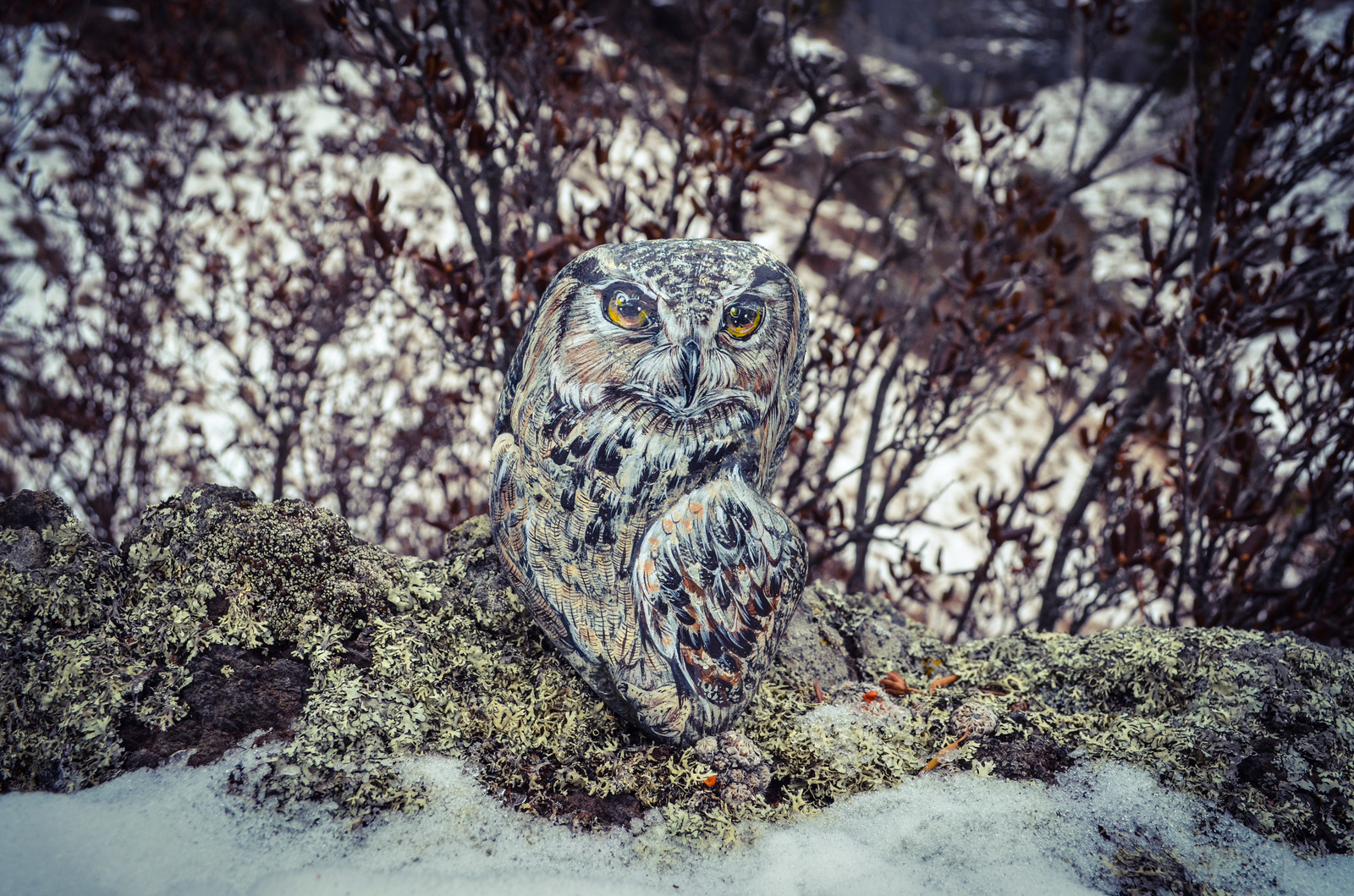 Owl. Stone painting. - My, Owl, Stone painting, Birds, Mountain Altai, Acrylic, Longpost, Painting, Owl, Altai Republic