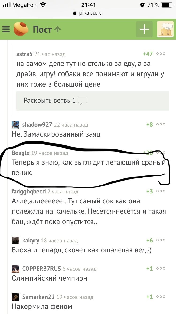 Порода «сраный веник» - Скриншот, Комментарии, Скриншоты_не_для_меня, Комментарии на Пикабу