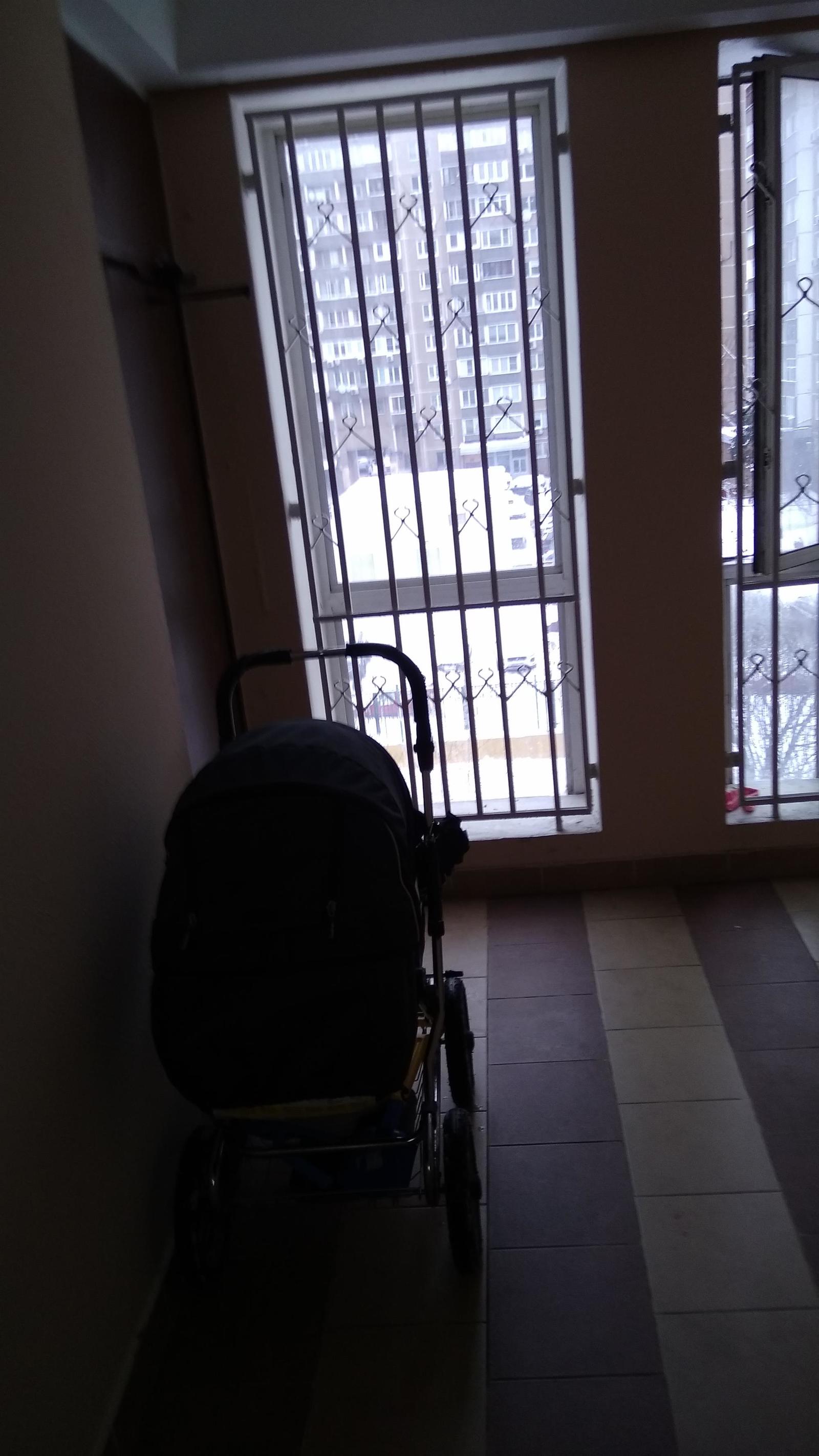 A stroller with a baby in the lobby of the floor, or what do parents think? - My, , Children, Leaving in danger, Longpost