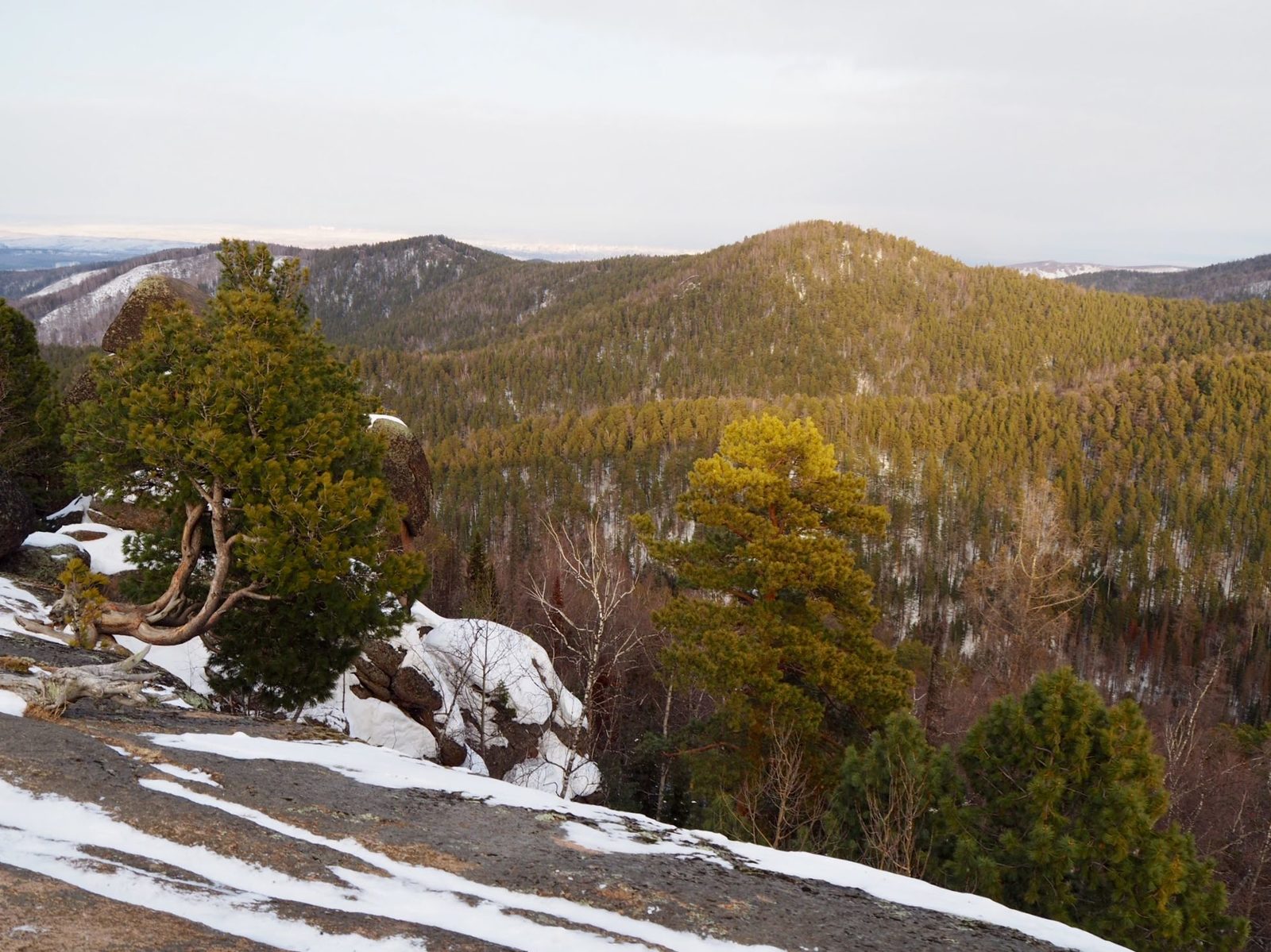 Sunday walk to Stolby. Feathers, taiga and rock bonsai (?). - My, The photo, Krasnoyarsk pillars, Nature, Taiga, The rocks, Feathers, Longpost