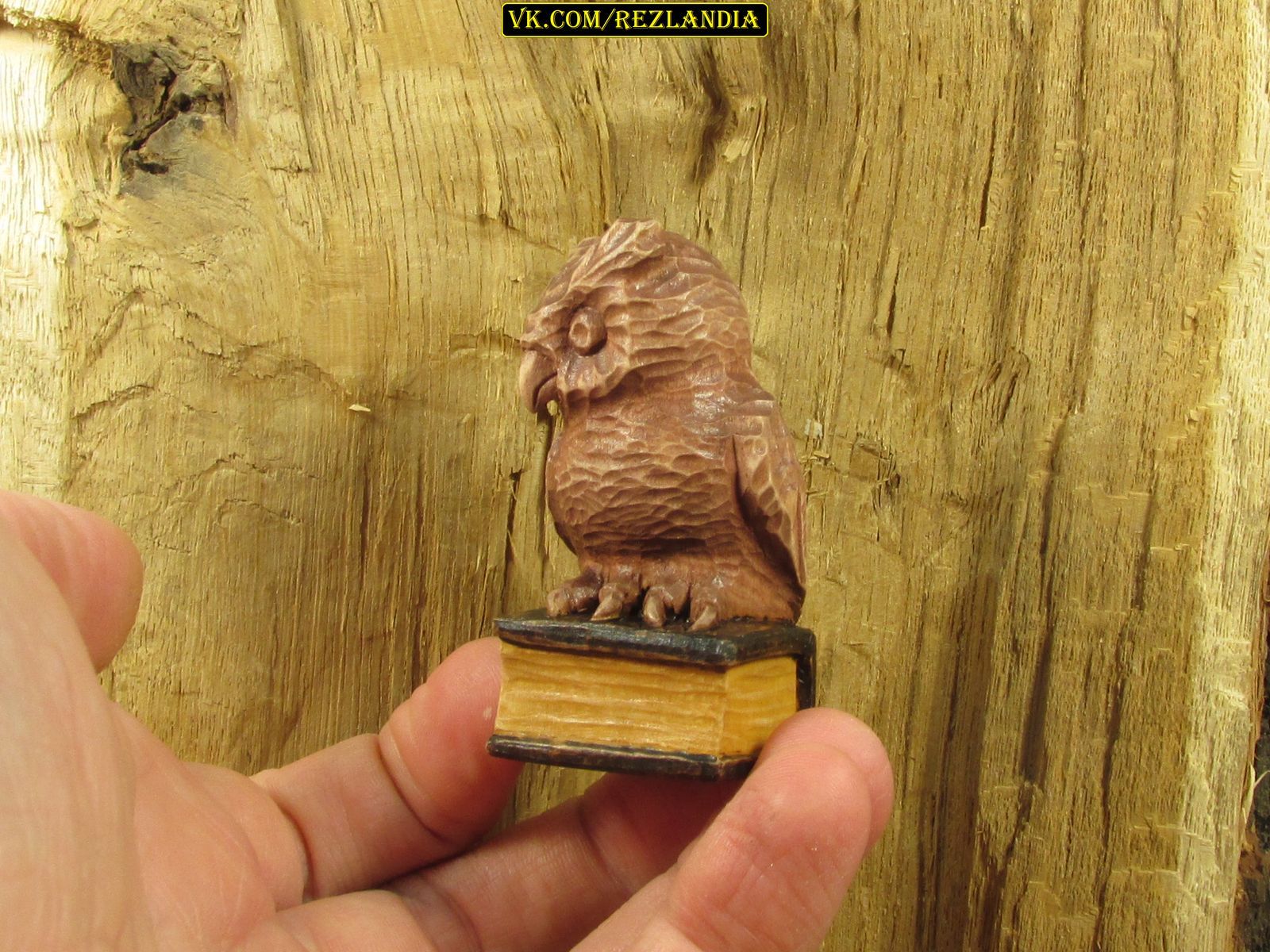 Two incisors - the owl is ready - My, Wood carving, With your own hands, Handmade, Owl, Miniature, Needlework with process, Longpost