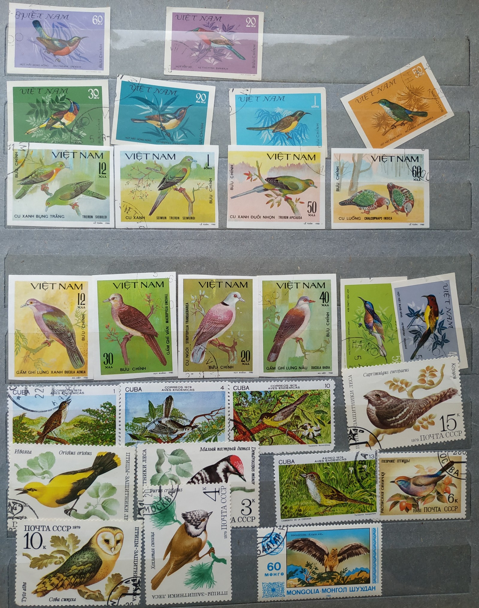 Stamps. - My, Stamps, Stamps, Grandmother, Football, Birds, Longpost