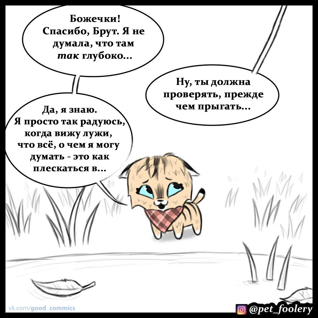 О, лужа! - Pet Foolery, Брут и Пикси, Комиксы, Милота, Лужа, Перевел сам, Длиннопост, Кот