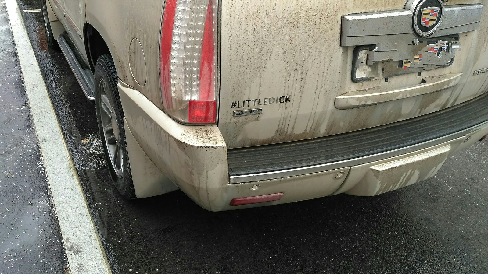 S-Self-irony - My, Auto, Lettering on the car, Irony