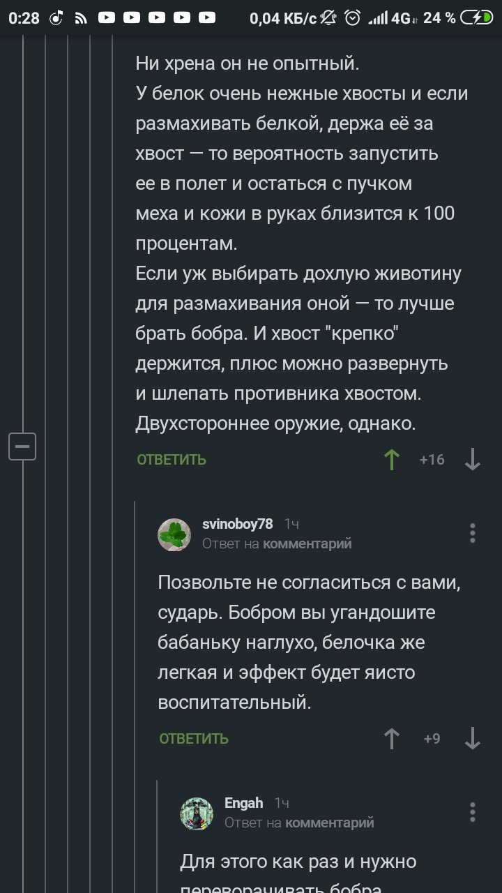 Воспитательные шлепки хвостом по морде. - Комментарии, Животные, Злые бабки, Кот, Белка, Бобры, Длиннопост, Комментарии на Пикабу, Скриншот