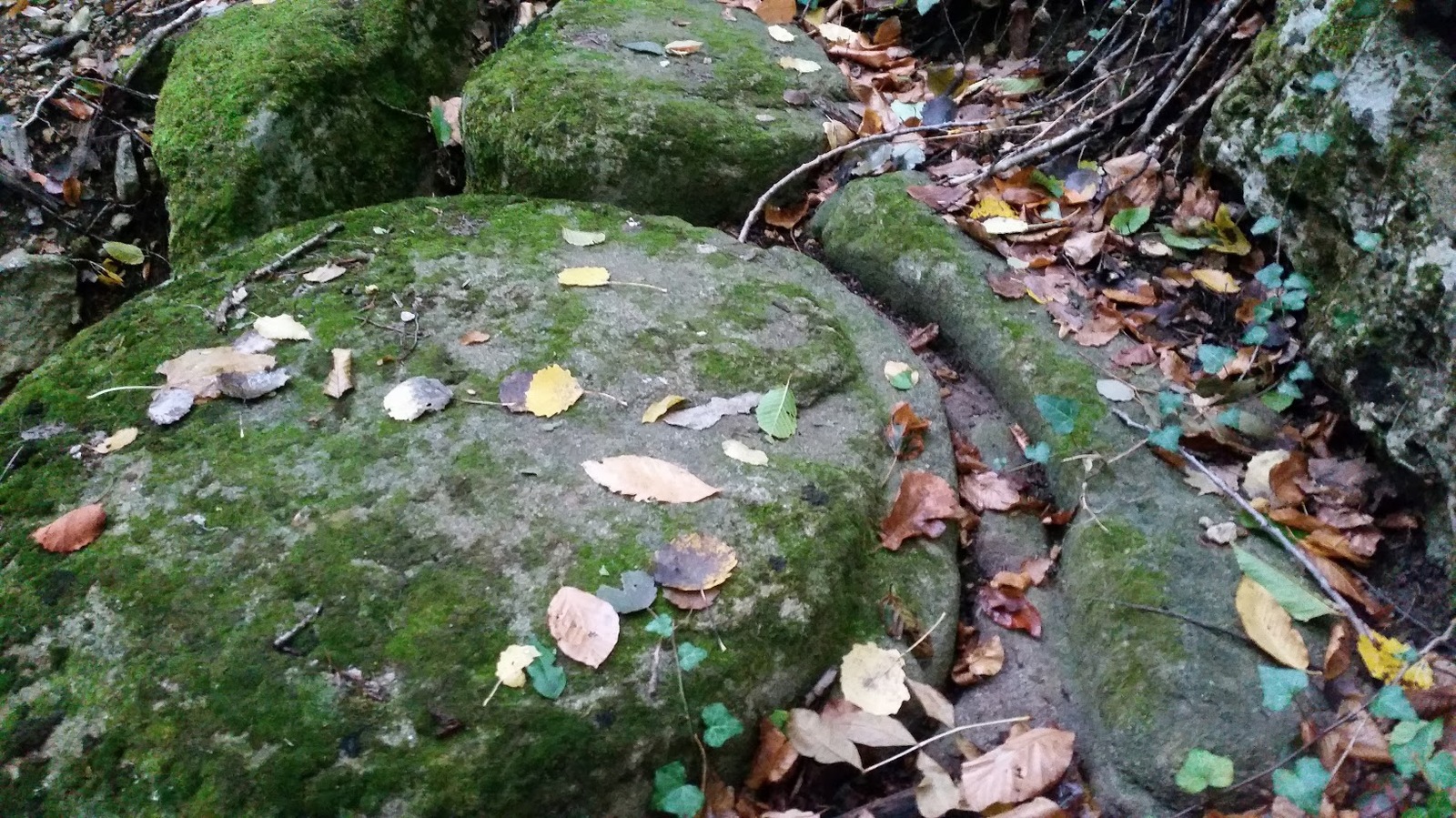 What could it be? - My, No rating, A rock, Crimea, Dolmens, Forest, Ruins, Longpost