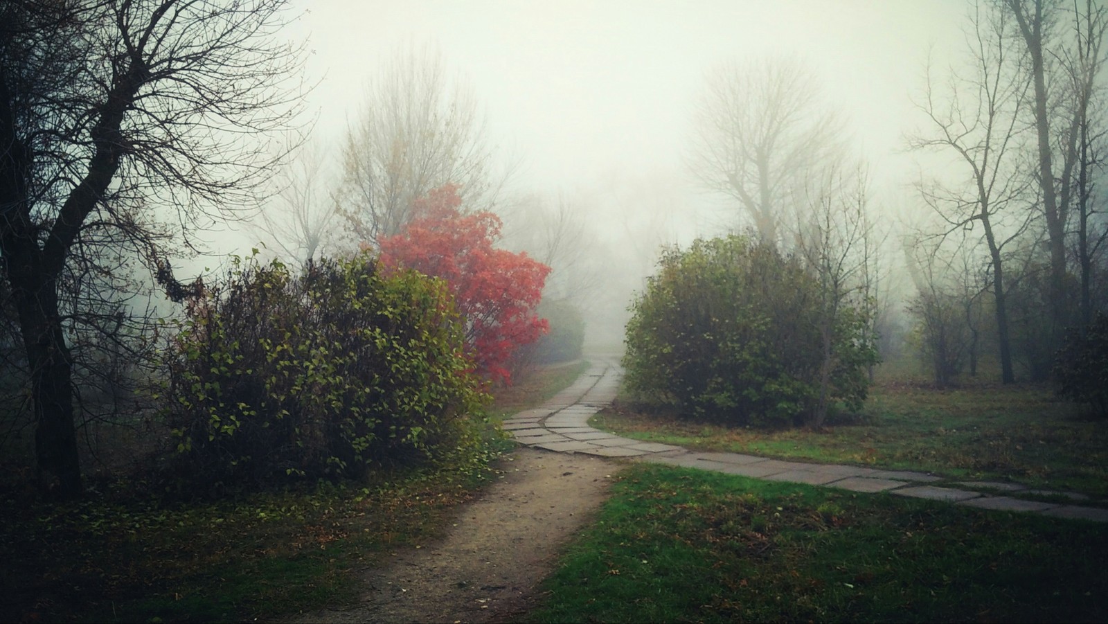 Nasnimal - My, Longpost, Photo on sneaker, Nature, Fog, Ferris wheel, moon, Abandoned, Toys