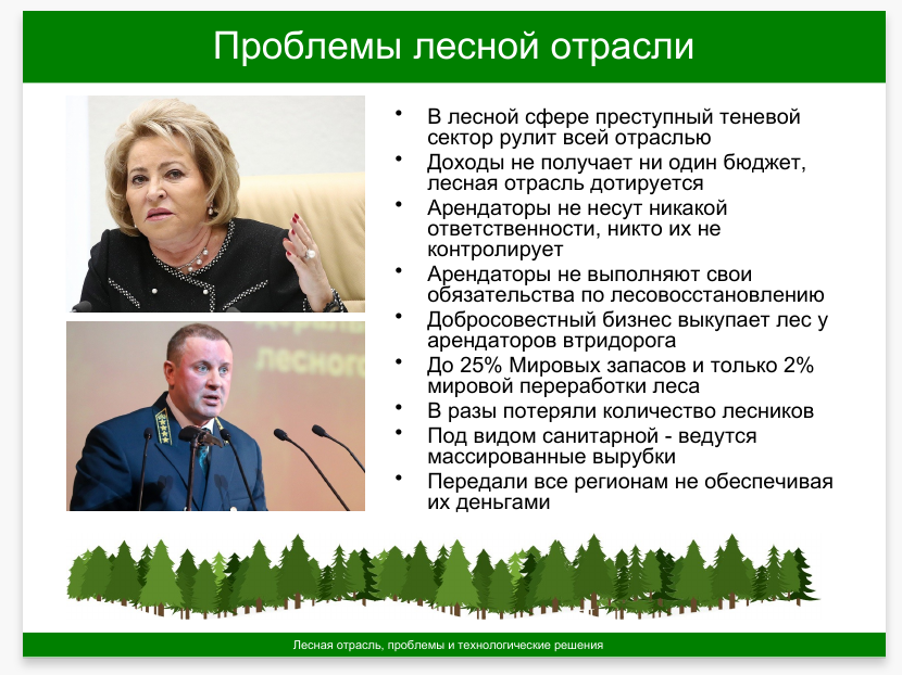 The problem of the forest industry in Russia was taken seriously - My, Forest, Presentation, Global problems, Solution, Slides, Longpost