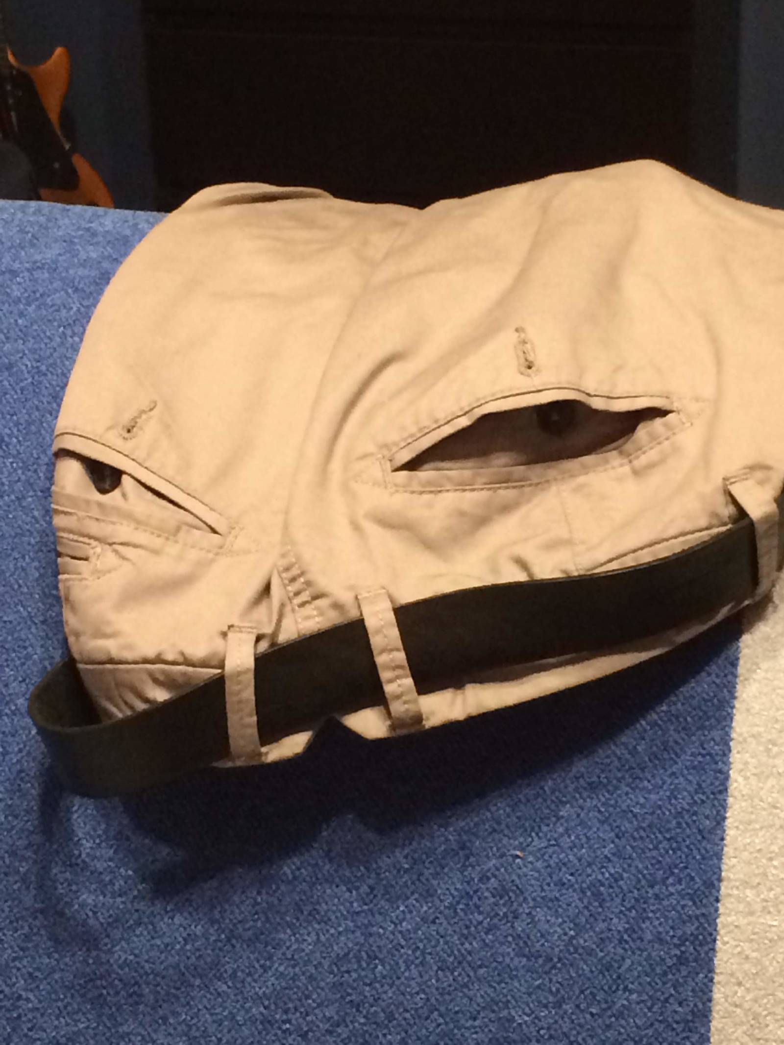 Is it just me or are the pants up to something? - My, Pareidolia, 