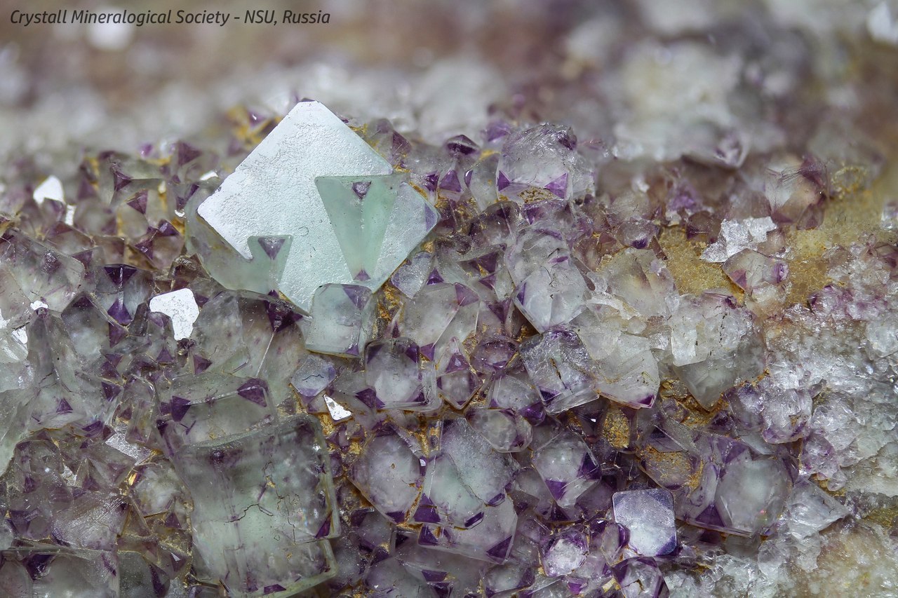 Druse of hydrothermal crystals of fluorite (CaF2). - My, Mineralogy, Fluorite, Crystallography, Minerals, Geologists