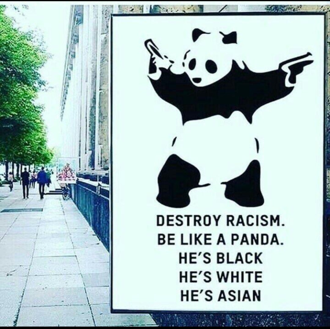 Destroy racism - The photo, Panda