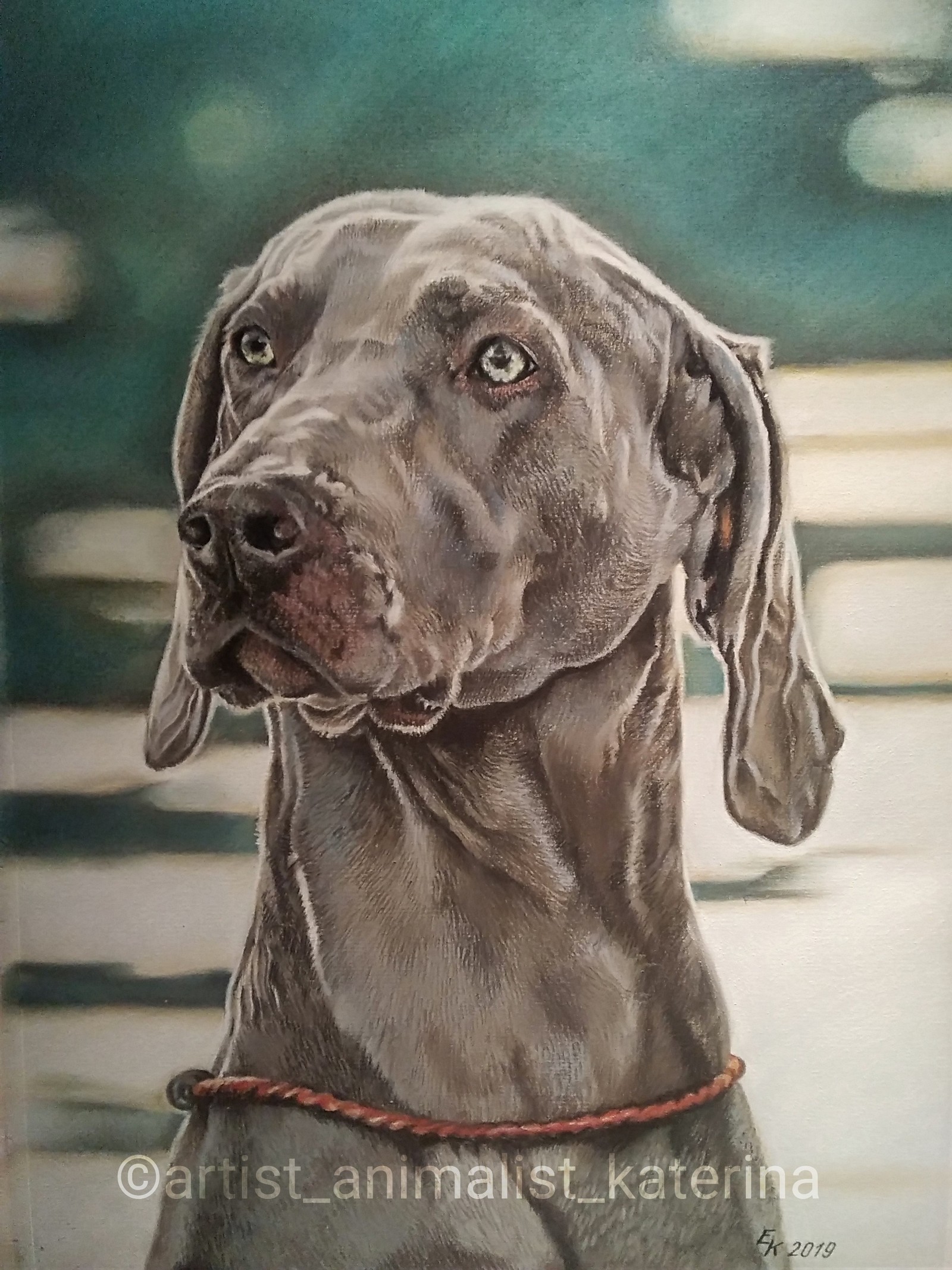 I draw with colored pencils and pastels. - My, Portrait, Dog, Pencil drawing, Drawing, Pastel, Artist, Longpost